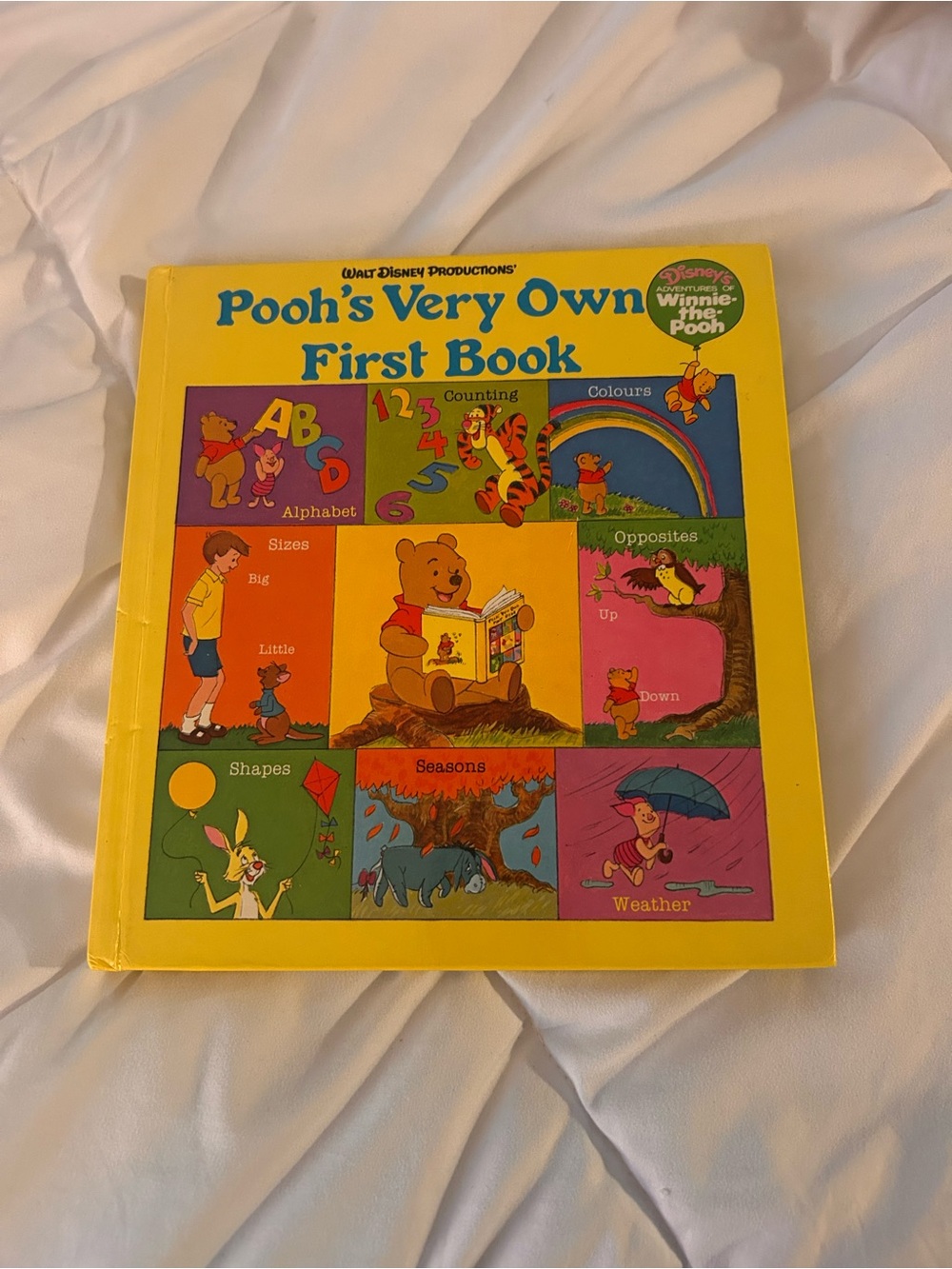 Winnie the Pooh book